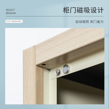 今丰 更衣柜铁皮柜员工柜寄存包柜储物柜木纹转印浅枫木色二门更衣柜