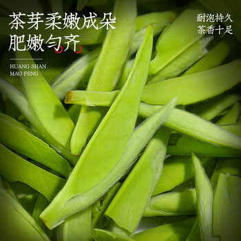 福茗源绿茶 黄山毛峰 特级三等安徽明前新茶嫩芽茶叶礼盒送长辈领导250g