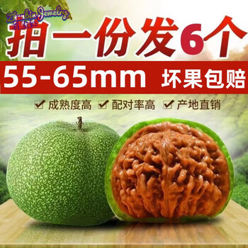 文玩磨盘核桃价格报价行情- 京东