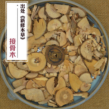 500克这个才是接骨木公道老马尿骚接骨丹