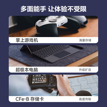 海康威视（HIKVISION）2TB SSD固态硬盘 DK4000系列 M.2接口(NVMe协议PCIe 4.0) 2230适配SteamDeck掌机