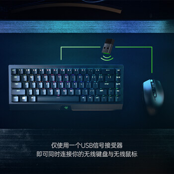 雷蛇（Razer）黑寡妇蜘蛛V3迷你无线幽灵键帽版 机械键盘 游戏键盘 68键 无线蓝牙有线键盘 RGB灯效 绿轴