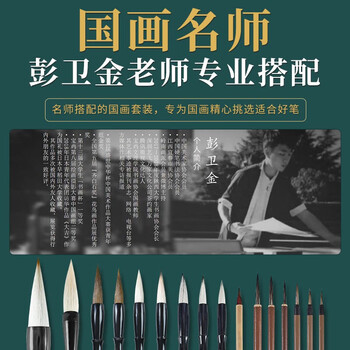 玉水湖国画毛笔套装专用初学者狼毫勾线白描中国画绘画大白云兼毫画水墨画勾线笔工笔画山水画 12支套装
