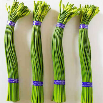 5斤山东白帽蒜苔蒜薹多汁粗长3斤1当季新鲜农家自种现摘现发蒜苔脆嫩