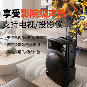 纽曼N522便携广场舞大功率低音炮户外K歌蓝牙拉杆电木吉他民谣乐器音箱移动摆摊喇叭双麦带适配器12吋