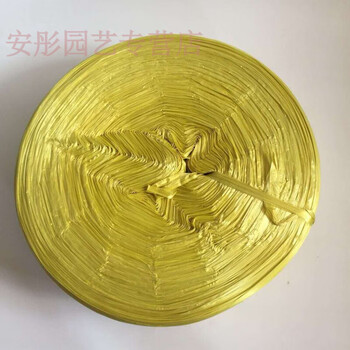 玻璃绳白色透明塑料绳大盘捆扎绳打包绳子捆绑绳封包装绳红色玻璃撕裂