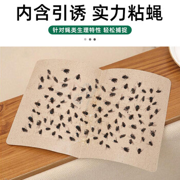空消粘蝇板60张高效诱捕苍蝇贴粘蝇纸强力粘苍蝇蚊蝇小飞虫胶灭蝇纸板