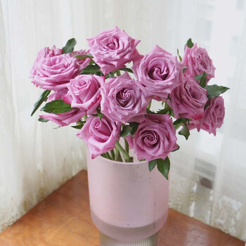 Linkinjoy玫瑰鲜花单色随机基地直发生活鲜花青单头玫瑰随机色10枝 图片价格品牌报价 京东