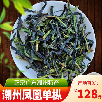 广东省潮州市凤凰山老广单丛正宗的味道曾树荣单枞茶凤凰茶单枞春茶