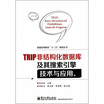 TRIP非结构化数据库及其搜索引擎技术与应用 pdf格式下载