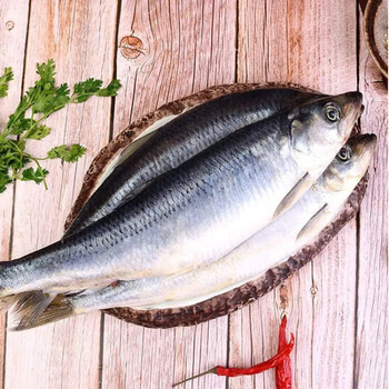 东北沙丁鱼辽宁山东生青鱼海鱼懒人之宝新鲜烧烤 净重5斤(满籽/满油)