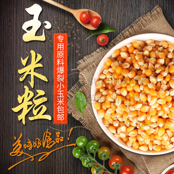 爆米花玉米粒corn grain popcorn corn500g