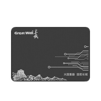 长城（Great Wall) 240GB SSD固态硬盘 SATA3.0接口 读速520MB/S台式机/笔记本通用 GW520系列