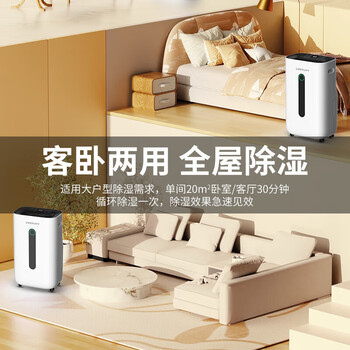 荣事达（Royalstar）家用除湿机20L/天20-40㎡适用回南天首选负离子群空气净化RSD-FD5250