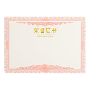 泰档证书荣誉证书绒面烫金A4尺寸加厚空白内芯内页大12开（A4）10张RJ1210