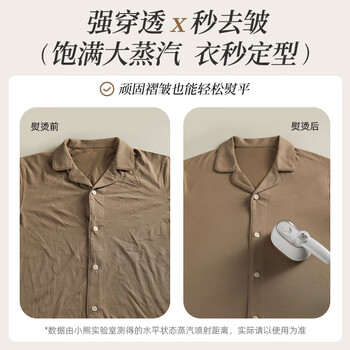 小熊（Bear）手持挂烫机17G/MIN大蒸汽100ML水箱电熨斗蒸汽熨烫家用增压便携快捷随心熨烫团购礼品A12Z3