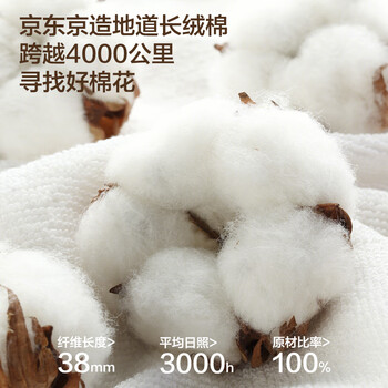 京东京造100%长绒棉毛巾A类纯棉98g加厚吸水家用全棉情侣洗脸巾2条思念蓝