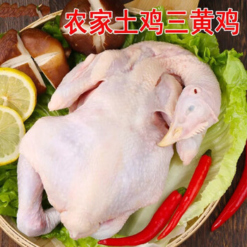 臻藓钰正宗三黄鸡农家散养新鲜整只白条童子笨土冻鸡肉 三只装(700克