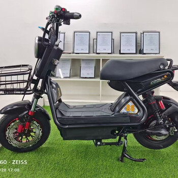 雪辰极酷s电动车双碟刹油刹60电瓶车高配青年学生男女酷车大功率 整车