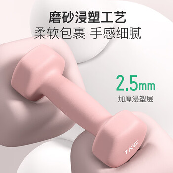 诚悦彩色浸塑哑铃男女士家用健身肌肉手臂塑形轻重量雅灰6kg*2CY-572