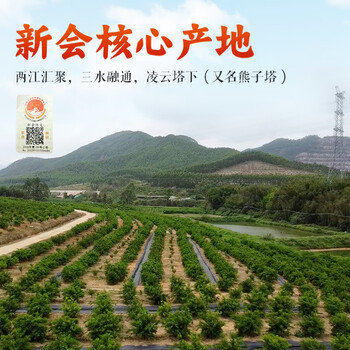 皮皇妃【地标认证】五年新会陈皮50g 广东新会产老陈皮滋补礼品送礼泡茶