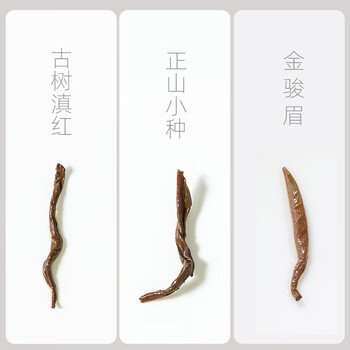 卢正浩组合茶叶初见红茶金骏眉正山小种滇红特级15g盒装红茶品鉴