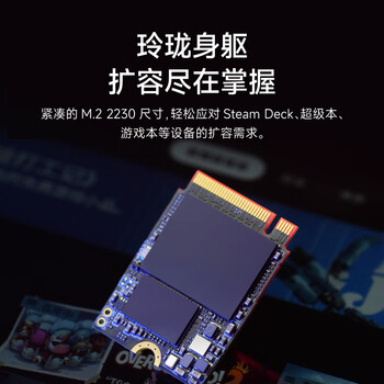 海康威视（HIKVISION）2TB SSD固态硬盘 DK4000系列 M.2接口(NVMe协议PCIe 4.0) 2230适配SteamDeck掌机