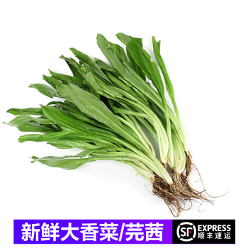 顺丰 大香菜新鲜芫茜刺芹芫西泰国冬阴功材料芫荽泰国香菜250g 图片价格品牌报价 京东