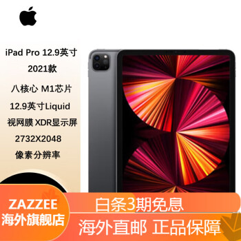 ipadpro128 - 京东