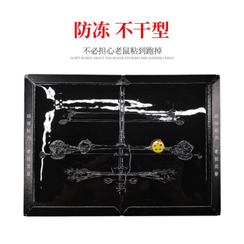 黑猫神 粘鼠板10片装 老鼠贴老鼠药老鼠板驱鼠捕鼠神器老鼠夹胶耗子药