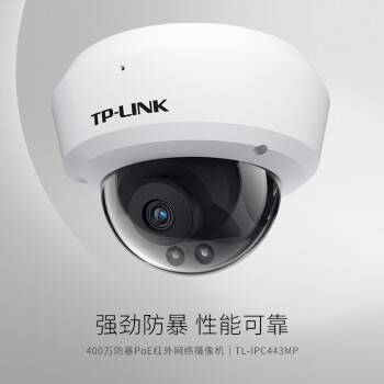 TP-LINK POE供电控摄像头400万像素室内家用防暴拾音半球监控器高清网络摄像机可插内存卡TL-IPC443MP-2.8