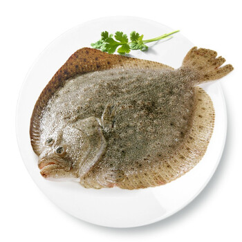 活鲜京鲜生鲜活海鲜鲜活多宝鱼约750g条