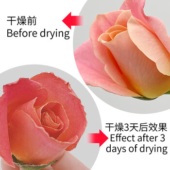 MISFIT鲜花干燥剂500g 干花朵硅胶粉diy手工制作材料永生花可重复使用