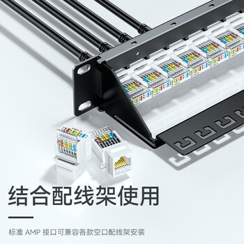 胜为（shengwei）超五类网络模块 CAT5e免打网络面板模块 RJ45水晶头电脑网线插座连接头 CMK5003H