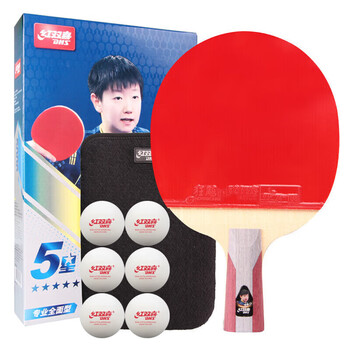 红双喜（DHS）狂飙五星直拍双面反胶皮全能型乒乓球拍H5006 含拍套乒乓球