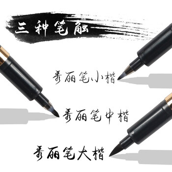 金万年大楷秀丽笔写书法练字笔科学钢笔式毛笔入门初学者套装软硬笔 黑色 (12支装)G-0940