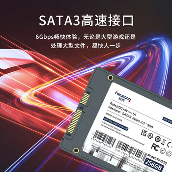 梵想（FANXIANG）2TB SSD固态硬盘 SATA3.0接口 高速低功耗 电脑升级核心稳定组件 FP325Q