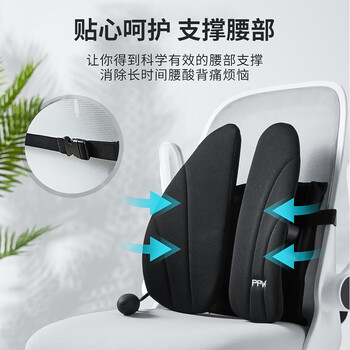 PPW 靠垫人体工学腰垫汽车腰靠腰托腰椎呵护办公室靠背腰枕靠 气囊款 PPW 靠垫人体工学腰垫汽车腰靠腰托腰椎呵护办公室靠背腰枕靠 气囊款