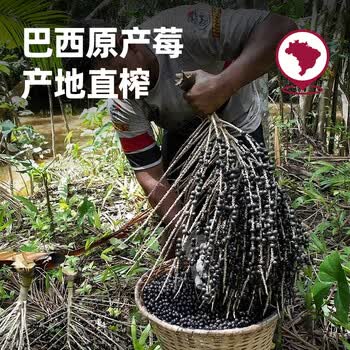王饱饱巴西莓粉3.5g*30条冻干粉花青素膳食纤维冲饮代餐粉果蔬粉