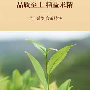 宋凰乌龙茶山韵单丛凤凰单枞蜜兰香特级210g中火礼盒装茶叶送礼送领导