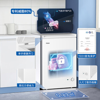 海尔（Haier）100L单温冰柜小型家用小冰柜冷藏冷冻两用转换深冷冷柜小冰箱减霜一级能效BC/BD-100GHDT