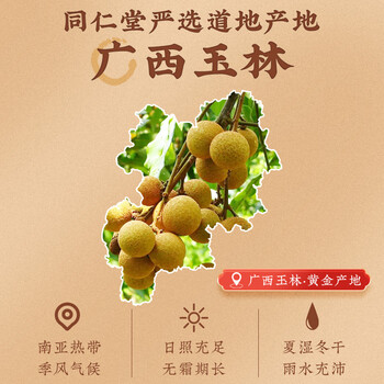 同仁堂(TRT)桂圆肉 正宗桂圆干龙眼肉无核无熏硫去皮泡水女性滋补养生茶250g 同仁堂(TRT)桂圆肉 正宗桂圆干龙眼肉无核无熏硫去皮泡水女性滋补养生茶250g