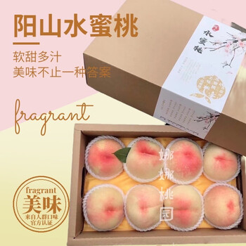 【返品?交換対象商品】 蜜桃蜜桃型号规格- 京东 その他
