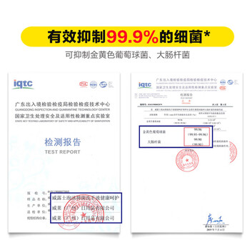 威露士 多用途杀菌湿巾100片/包*2 除菌消毒湿纸巾 水润/柠檬 随机发