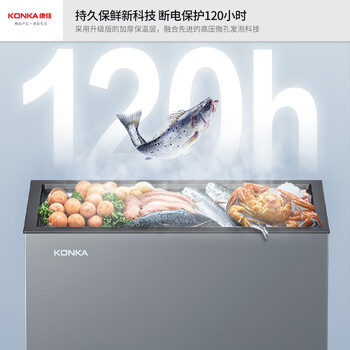 康佳（KONKA）201升一级能效单温双温商用家用冰柜冷冻冷藏卧式冷柜冰箱BG20AS自营家电