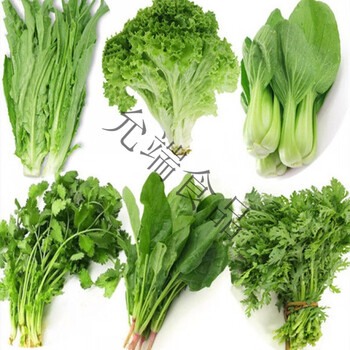 菠菜油麦茼蒿青香菜多组合现摘现发鲜嫩叶菜沙拉蔬菜以下蔬菜选共45斤