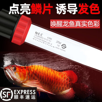 nec灯管品牌及商品- 京东