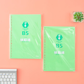 晨光（M&G）B5/26孔活页本替芯英语款记事本笔记本横线活页内芯线圈纸HB5A10B 100张/包
