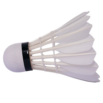 亚狮龙专业比赛鸭毛羽毛球稳定耐打金冠C4号77速12只装/桶