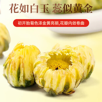 同仁堂（TRT）胎菊桐乡头茬含苞特级无熏硫菊花泡茶100g/罐